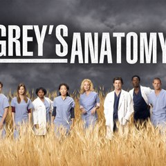 ABC Grey's Anatomy