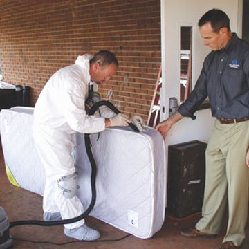 Pest Inspection