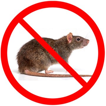 cascade pest control