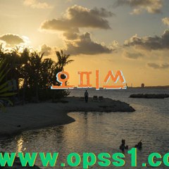 송탄오피 송탄건마 (OPSS1닷컴) 구글 ▶ 오피쓰
