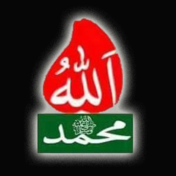 S Muhammad Shabbir