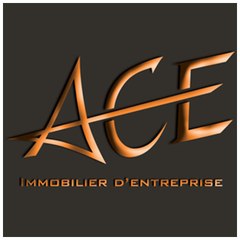 ACE Immobilier d'entreprise