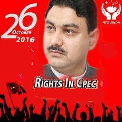 ijaz seemab daudzai anp pk8