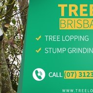 Tree Lopping Brisbane North