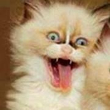 סראקו Welcome To 21 St Cen