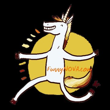 www.funnynova.com