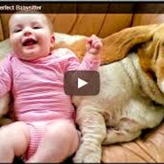 Funny Videos