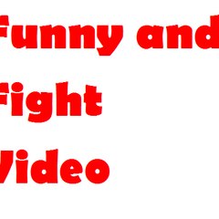 Funny and Fight Video