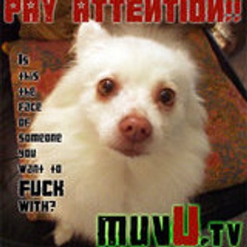 muvuTV
