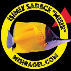 misiragel com