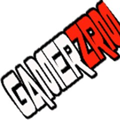 GamerZrm