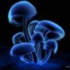 Enxia