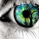 Devil'sEye