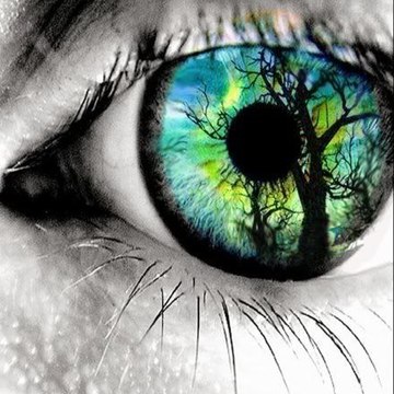 Devil'sEye