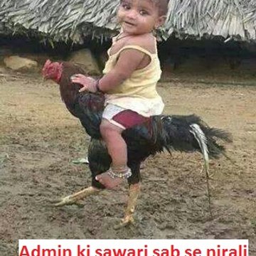 whats app funny videos