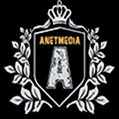 ANETMEDIA