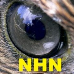NewsHawk Network