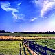 Daviddadisman52