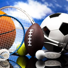 Sports Lovers