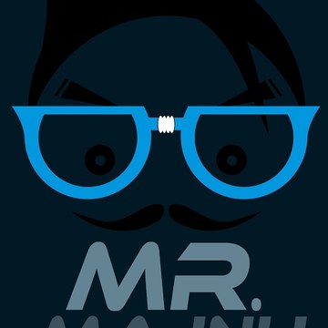 Mr. Majnu