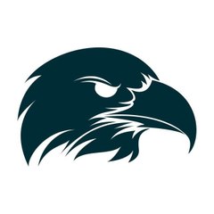 BLACK HAWK