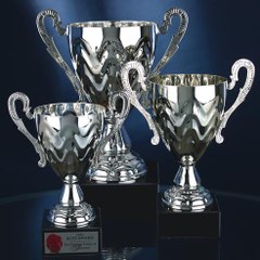 Awards by Walsh's