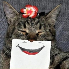 humourousmix410