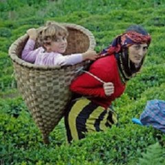 Music Of Karadeniz