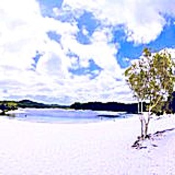 Sodifaj