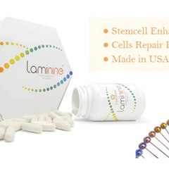 Harga Laminine