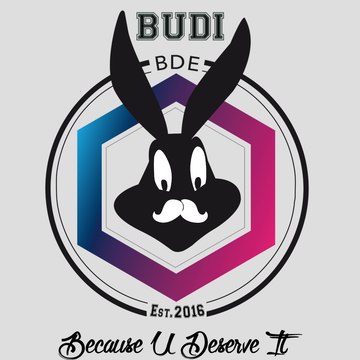 BDE_BUDI