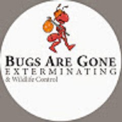 Bugs Are Gone Exterminators NYC