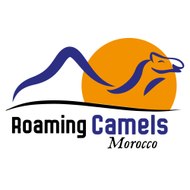 Roaming Camels Morocco