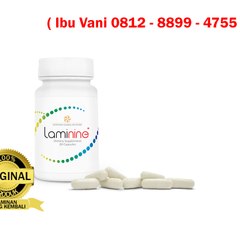 Harga Laminine