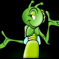 Cricket Tube