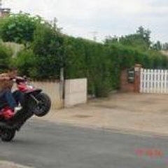 ptitdiable81