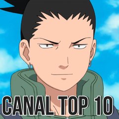 TOP10 Canal