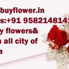 Floristdelhi