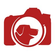 Fotógrafo de Cães