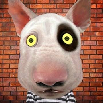 CaoTenteTV
