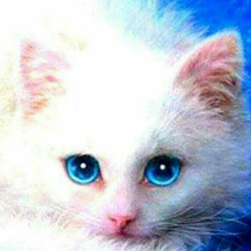 Vishal Mantoo