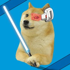 Doge Vida Loca
