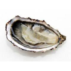 Rupnpagnol
