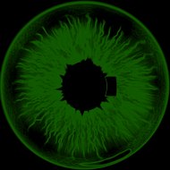 FERNANDO SONIC GAMEPLAY