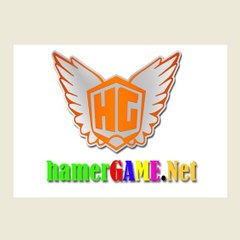 hamerGAME-net