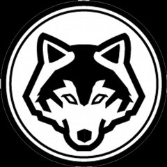 Player Wolf01