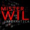 Mister Wil Informatica 2 .