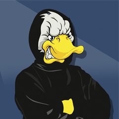 Duckdroid