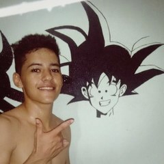 L. Silva