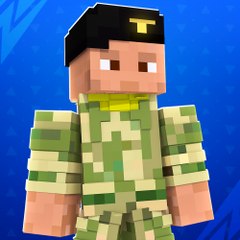 RegFly Player